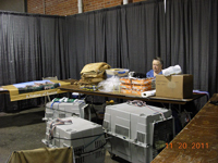The CFA Intertional Cat Show